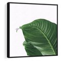 Obraz w ramie 50x50 - Zielone liście monstery - liście, monstera - rama czarna