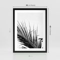 Plakat w ramie 30x40 - Sztuka Natury: Monochromatyczna Palma - palma, czarno białe zdjęcie - rama czarna