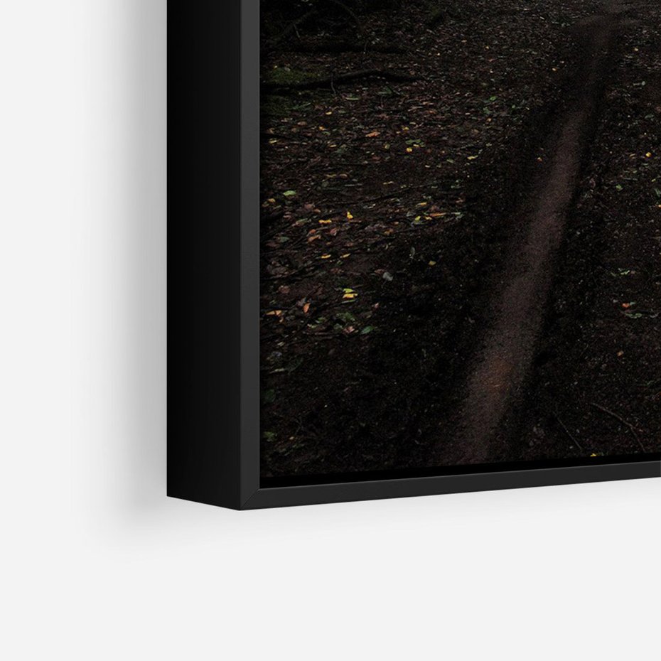 Obraz w ramie 70x100 - Urok Drogi - las, droga - rama czarna