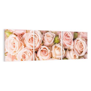 Obraz na płótnie 90x30 - Delikatność róż - piękno natury - róże, kwiaty