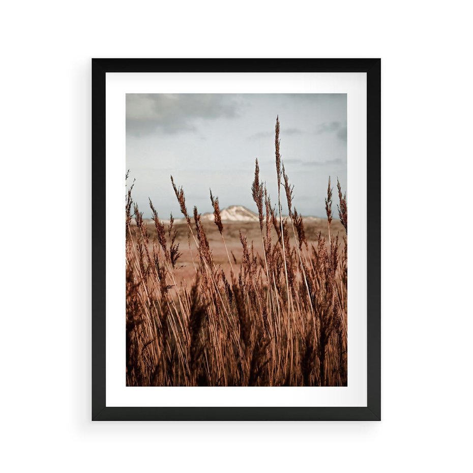Plakat w ramie 40x50 - Wysokie Trawy w Górskim Krajobrazie - suche trawy, wysokie trawy - rama czarna