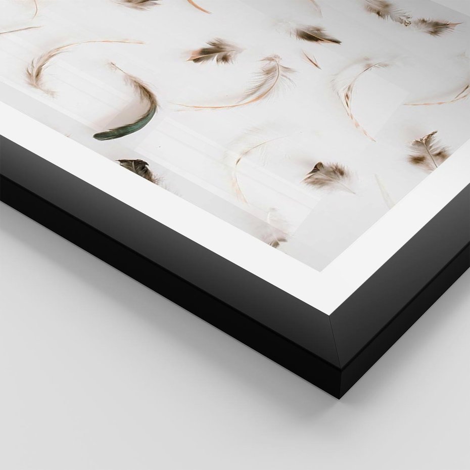 Plakat w ramie 40x50 - Kompozycja z Piór - pióra, kompozycja - rama czarna