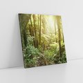 Obraz na płótnie 50x50 - Uroczysty Las Drzew - las, drzewa