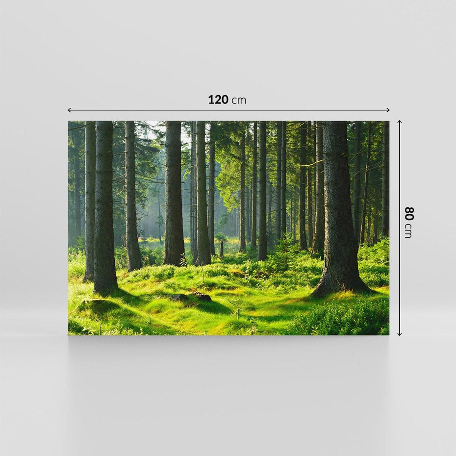 Obraz na płótnie 120x80 - Idylliczny las - las, drzewa