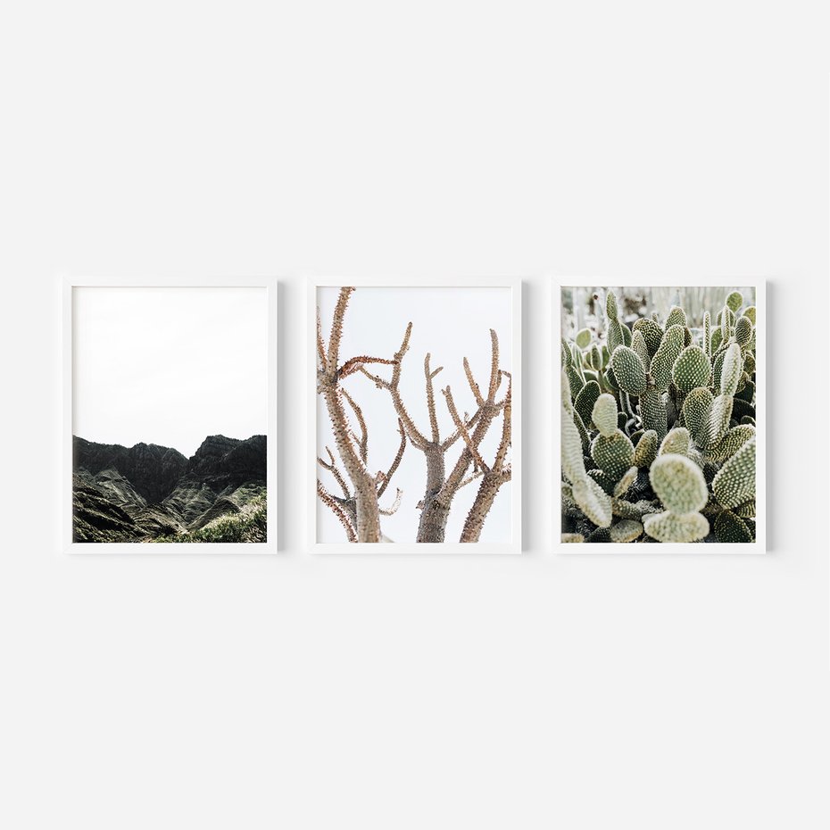 Zestaw obrazy w ramie 40x50 galeria - Pustynia, kaktusy, zieleń, boho - rama biała