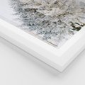 Plakat w ramie 30x40 - Zimowa Poezja w Ośnieżonym Drzewie - ośnieżone drzewo, zima - rama biała