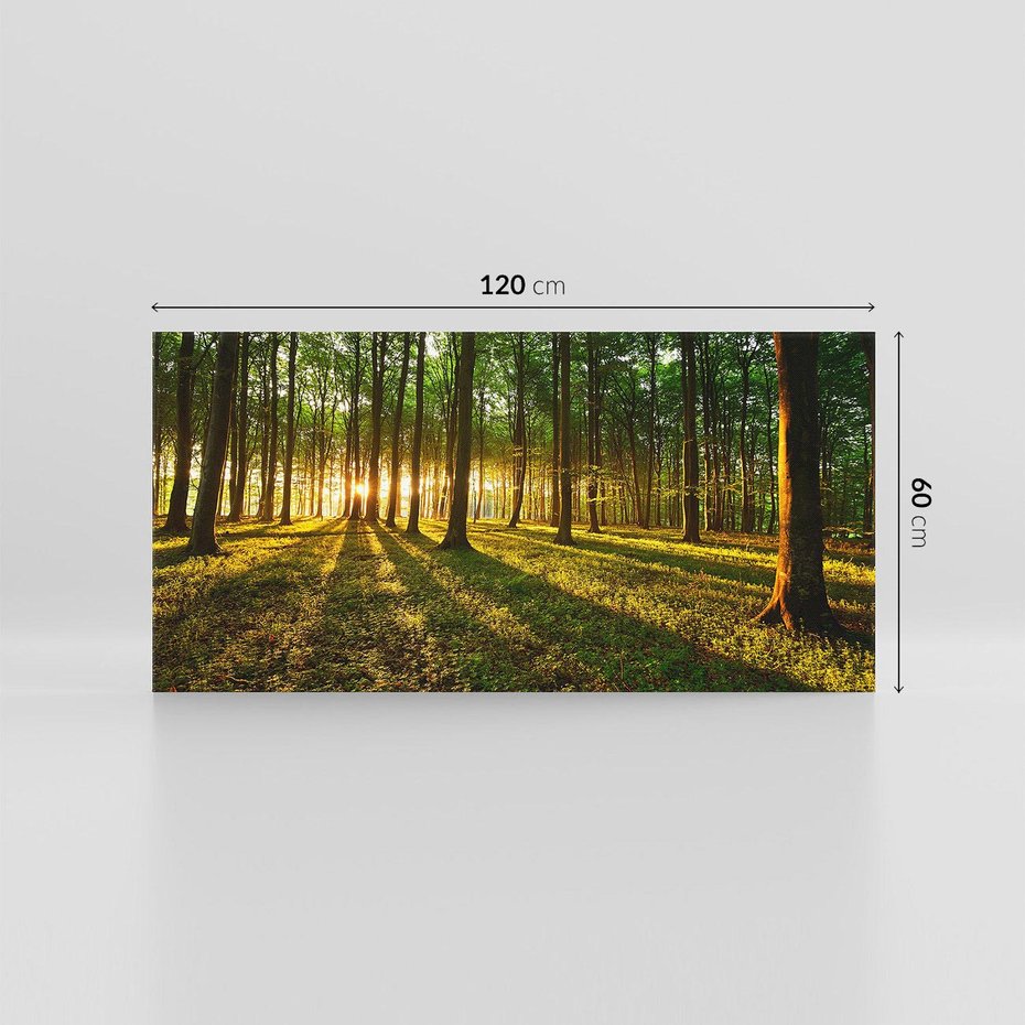 Obraz na płótnie 120x60 - Mistyfikujący urok leśnej głuszy - las, drzewa