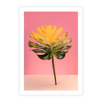 Plakat bez ramy 50x70 - Majestatyczna monstera - monstera, liść