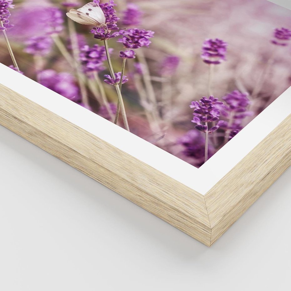 Plakat w ramie 30x40 - Majestat lawendy: fioletowe pola - lawenda, fiolet - rama drewno