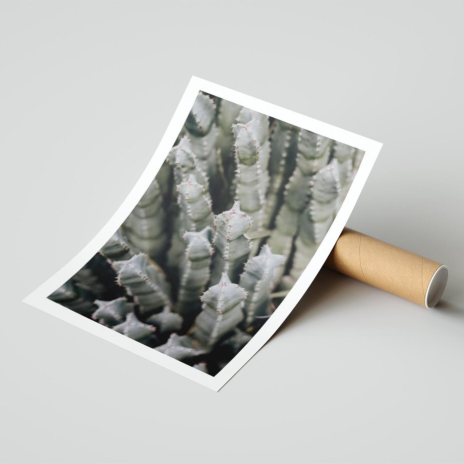 Plakat bez ramy 21x30 - Oaza Natury - sukulenty, kaktusy