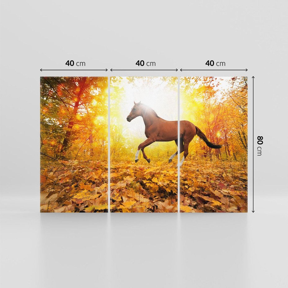 Obraz na płótnie 120x80 - Moc konia w zachodzie słońca - koń, słońce