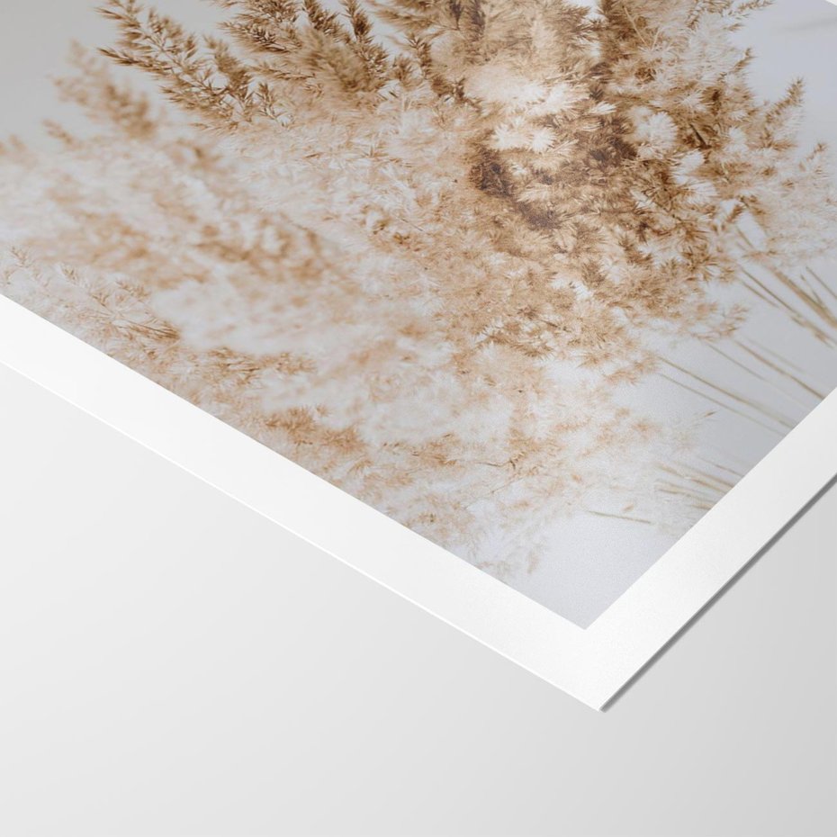 Plakat bez ramy 21x30 - Boho Urok Traw Pampasowych - suche trawy, pampas