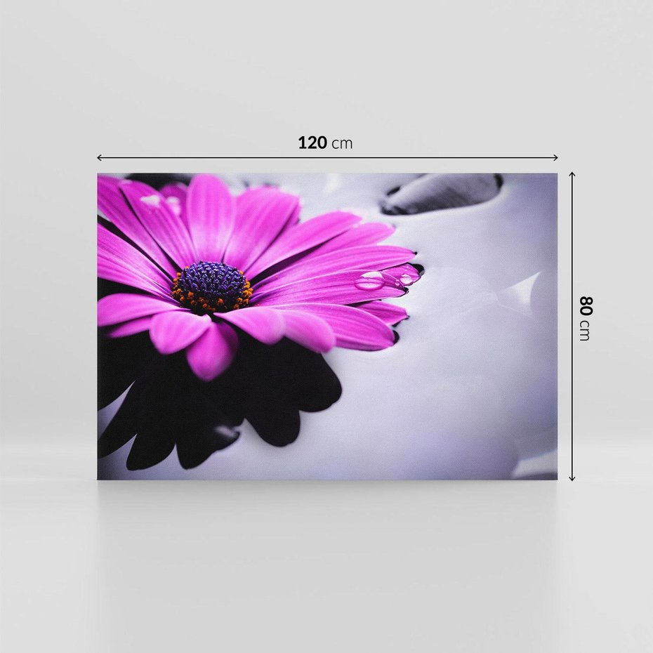 Obraz na płótnie 120x80 - kwiatowa harmonia - kwiat, SPA