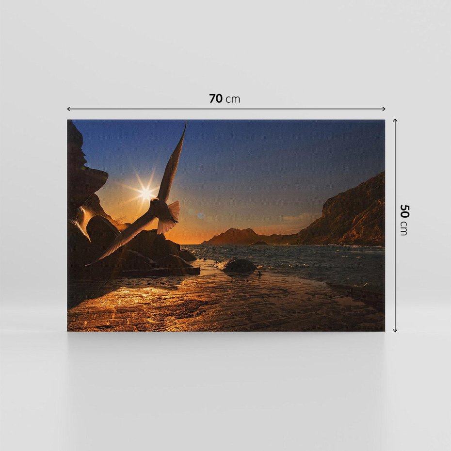 Obraz na płótnie 70x50 - Zachód słońca nad morzem z mewą - mewa, morze