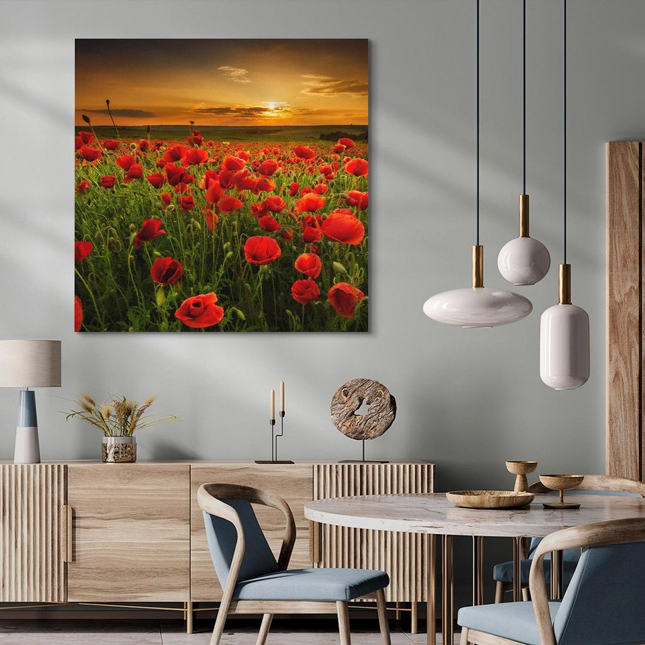 Obraz na płótnie 30x30 - Maki na łące: Przebudzenie wiosny - mak, maki