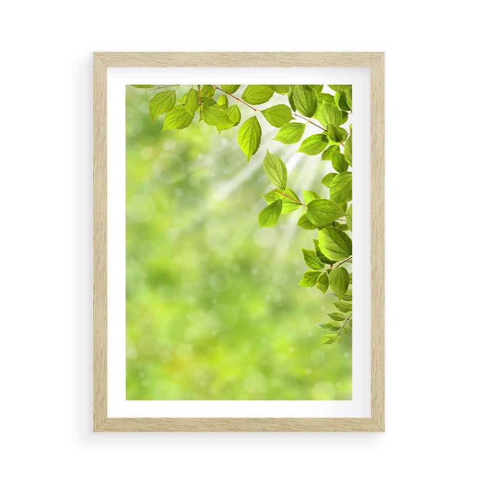 Plakat w ramie 50x70 - Zielone liście natury - liści, zieleń - rama drewno