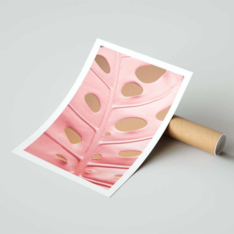 Plakat bez ramy 30x40 - Różowy Liść Monstery - różowy liść monstery, nowoczesna fotografia