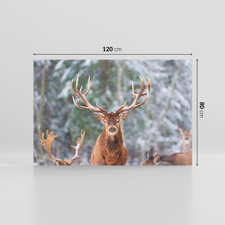 Obraz na płótnie 120x80 - Monarcha Zimowej Dziczy - jeleń, zima