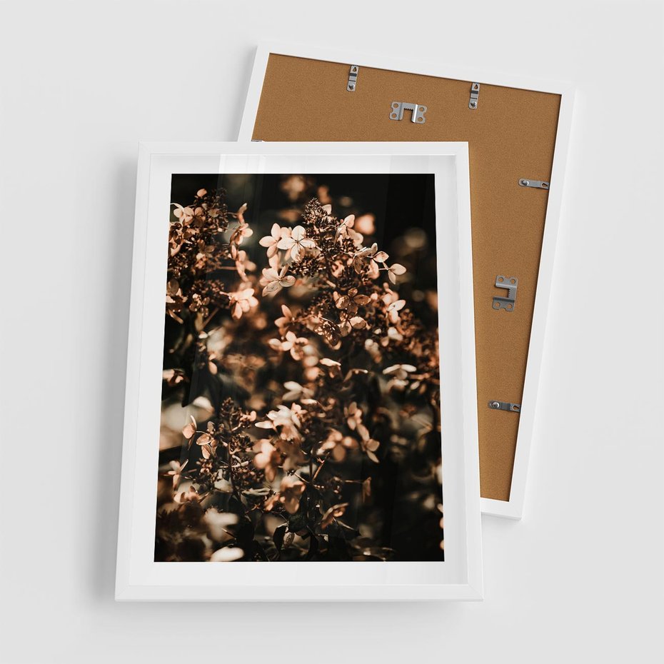 Plakat w ramie 50x70 - Sucha Kompozycja Kwiatów - suche kwiaty hortensji - rama biała