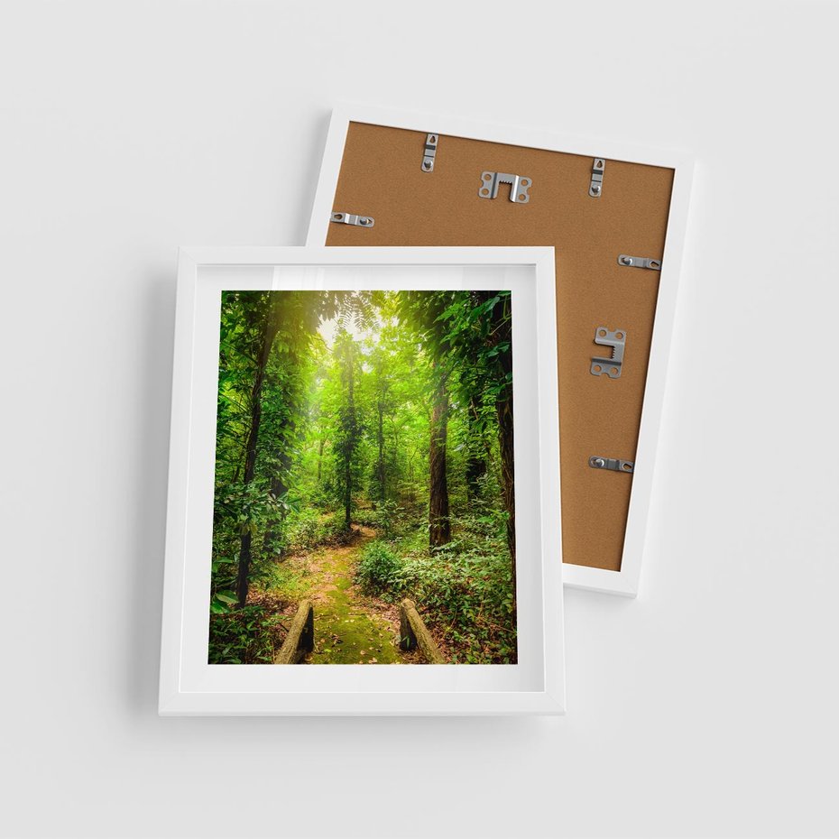 Plakat w ramie 40x50 - Współistnienie z naturą - drzewa, las - rama biała