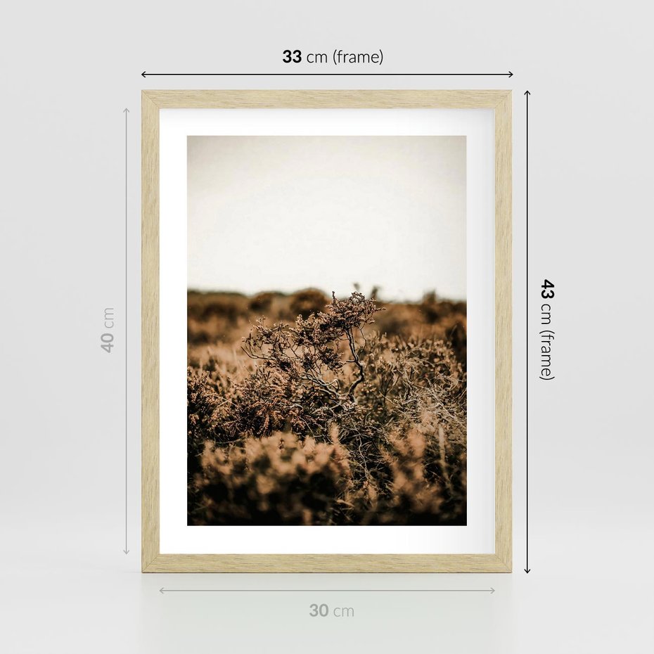 Plakat w ramie 30x40 - Krajobraz W Naturze: Beże i Brązy - suche krzewy, natura - rama drewno