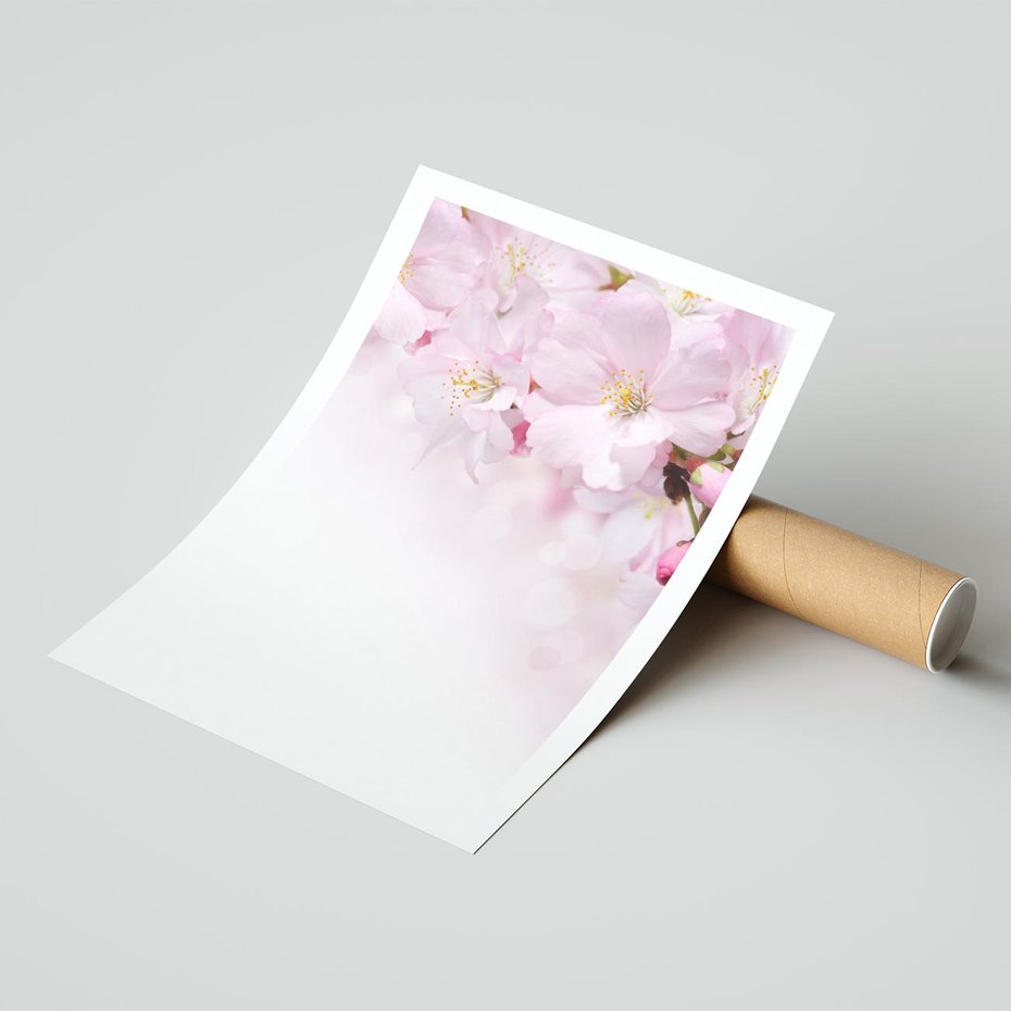 Plakat bez ramy 40x50 - Kwitnąca Wiśnia - kwiaty, kwitnącej