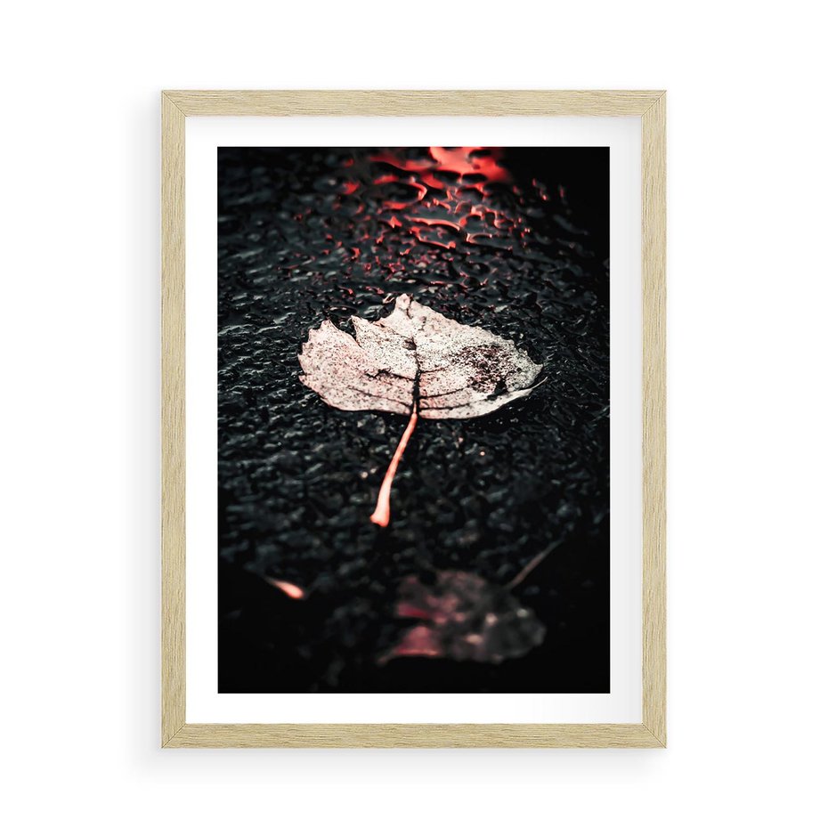 Plakat w ramie 50x70 - Jesień w Detalu: Liść na Mokrej Drodze - liść, jesień - rama drewno
