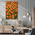 Obraz na płótnie 70x100 - Tulipanowa eksplozja - tulipany, kwiaty