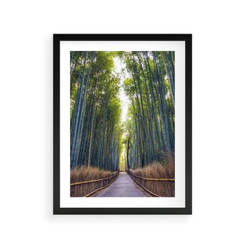 Plakat w ramie 40x50 - Urokliwa dróżka w lesie - las, dróżka - rama czarna