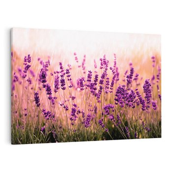 Obraz na płótnie 100x70 - Lawenda: Pachnące pole kwiatów - kwiaty, lawenda