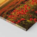 Obraz na płótnie 30x30 - Makowe uczucia - maki, kwiaty
