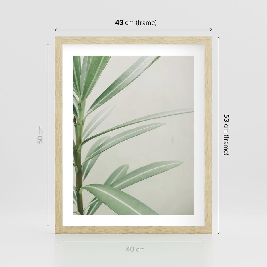 Plakat w ramie 40x50 - Minimalistyczna Tropikalna Harmonia - tropikalna roślina, zielone liście - rama drewno