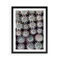 Plakat w ramie 50x70 - Wzór Kaktusów - kaktusy w doniczkach, ujęcie z góry - rama czarna