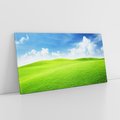Obraz na płótnie 120x60 - Łąka pod Niebem - łąka, niebo