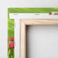 Obraz na płótnie 140x70 - Tulipanowy raj - kwiat, kwiaty