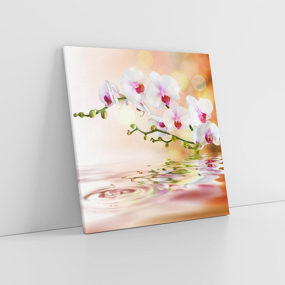 Obraz na płótnie 60x60 - Elegancja orchidei - orchidea, kwiaty