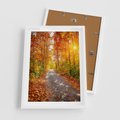 Plakat w ramie 50x70 - Kolorowe drzewa na ścieżce jesieni - las, jesień - rama biała