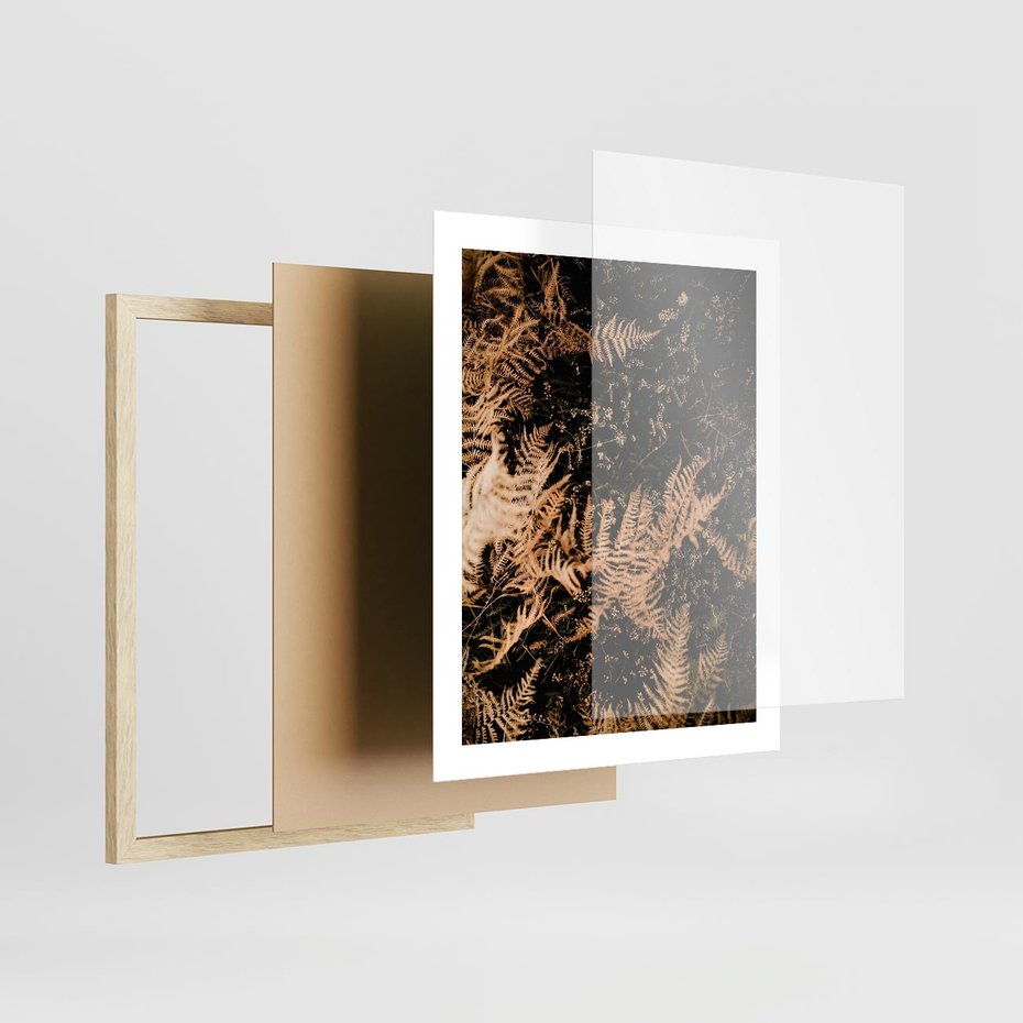 Plakat w ramie 40x50 - Jesienne Paprocie: Kolorowa Paleta Natury - paprocie, jesień - rama drewno