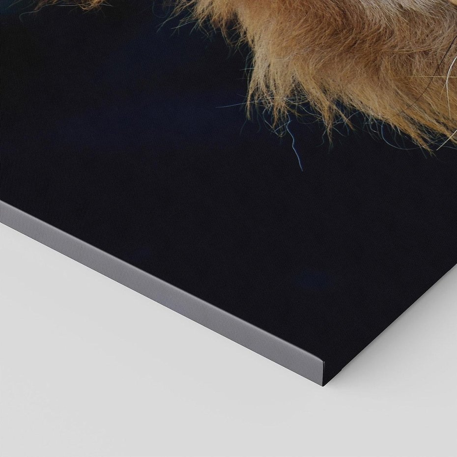 Obraz na płótnie 140x70 - Lew - Król Zwierząt - lew, zwierzęta