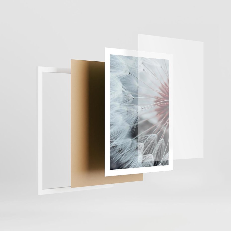 Plakat w ramie 50x70 - Makro Magii Natury - dmuchawiec, zbliżenie makro - rama biała