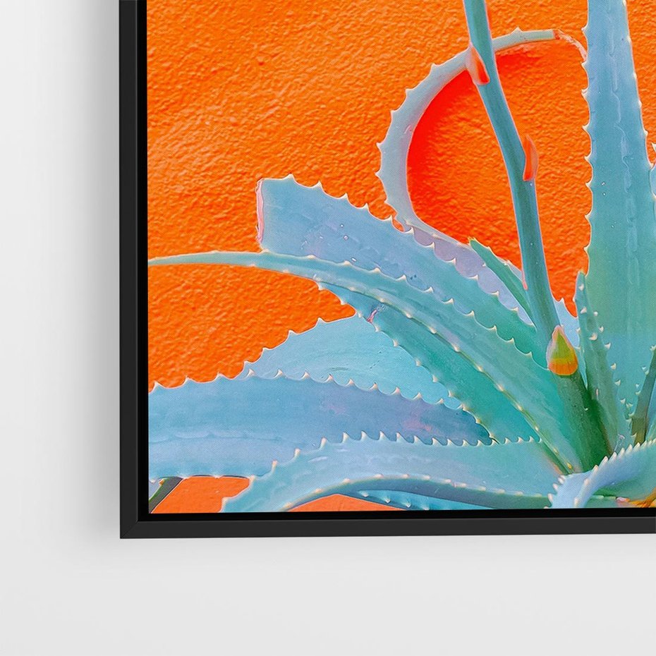 Obraz w ramie 50x50 - Naturalna Harmonia - kaktusy, liście - rama czarna