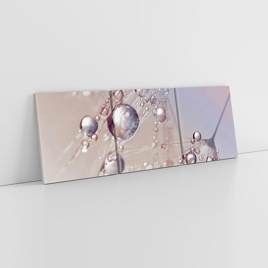 Obraz na płótnie 120x40 - Delikatne Natchnienie - krople, dmuchawce