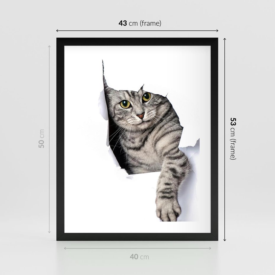 Plakat w ramie 40x50 - Tajemniczy kot i jego świat - kot, dziura - rama czarna