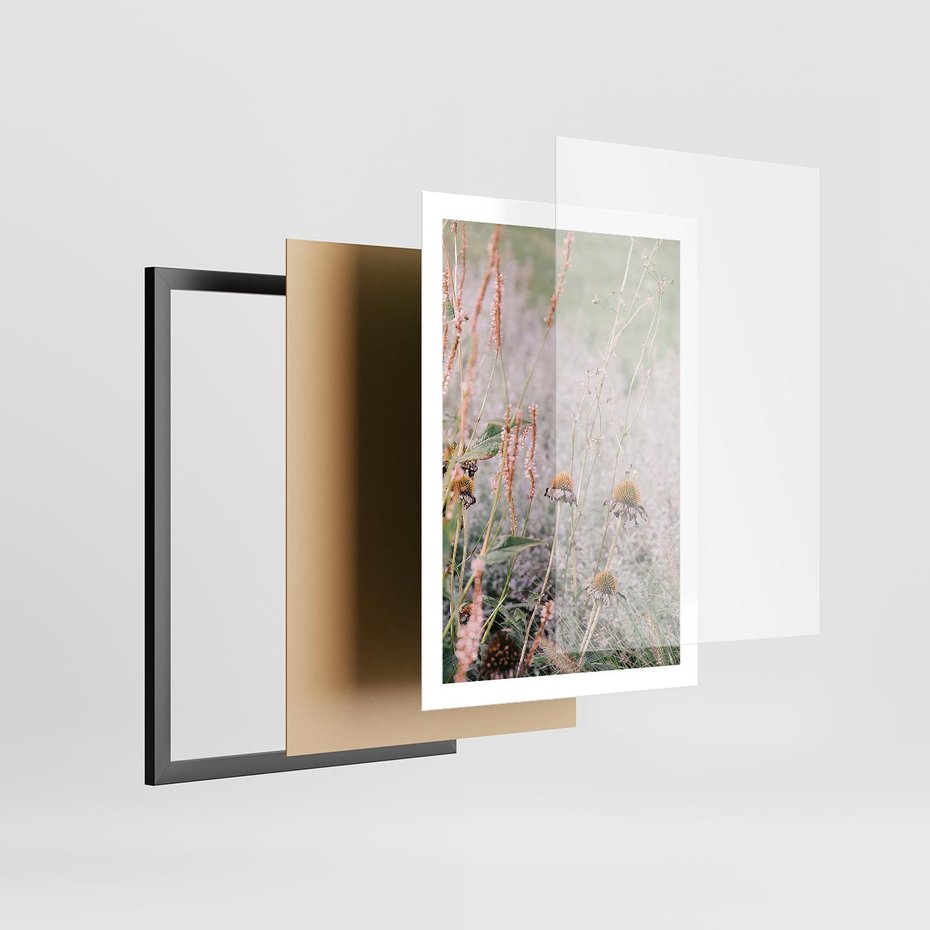 Plakat w ramie 50x70 - Przyroda w Pełnym Blasku: Kolorowa łąka z Kwiatami - łąka, kwiaty na łące - rama czarna