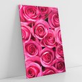 Obraz na płótnie 50x70 - Romantyczne róże w pełnym rozkwicie - róże, kwiaty