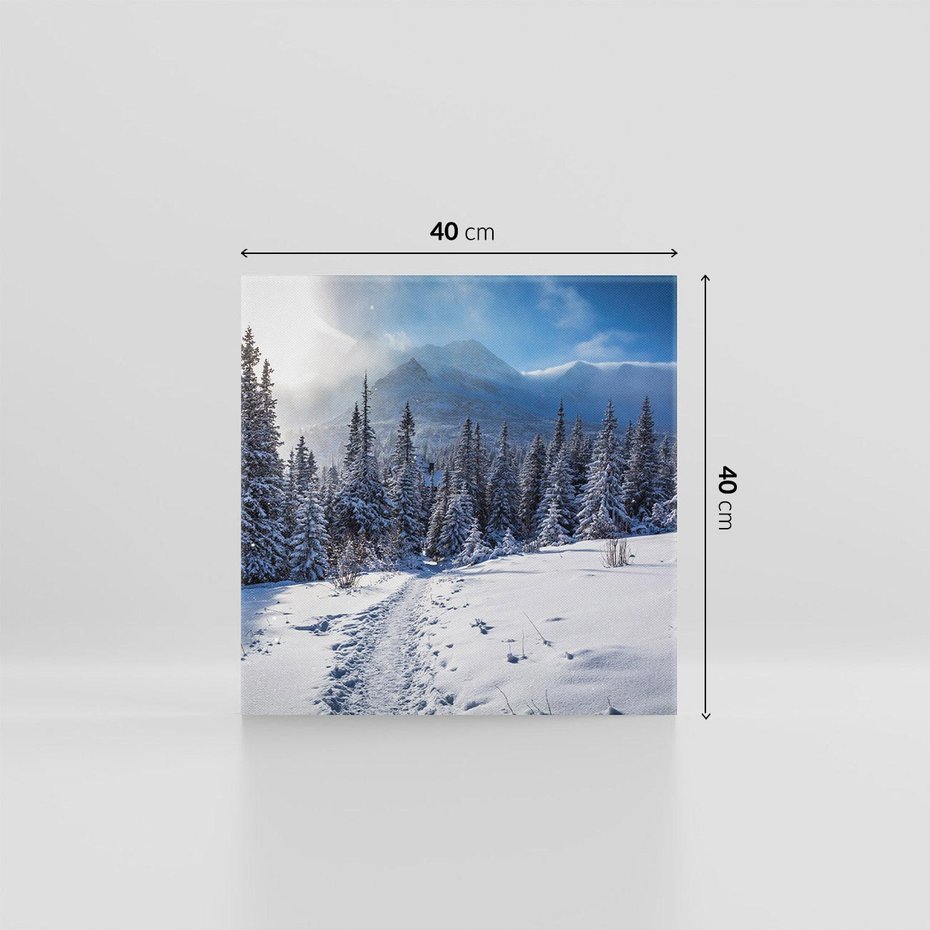 Obraz na płótnie 40x40 - Zimowe góry w lesie - góry, zima