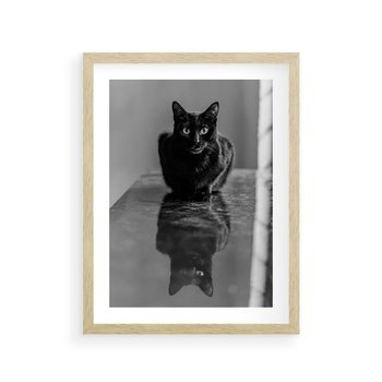 Plakat w ramie 40x50 - Kocie Oczy - kot, czarno białe zdjęcie - rama drewno