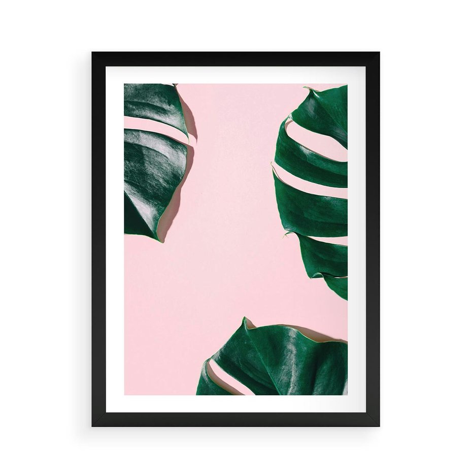 Plakat w ramie 50x70 - Minimalizm Natury - minimalizm, liście monstery - rama czarna