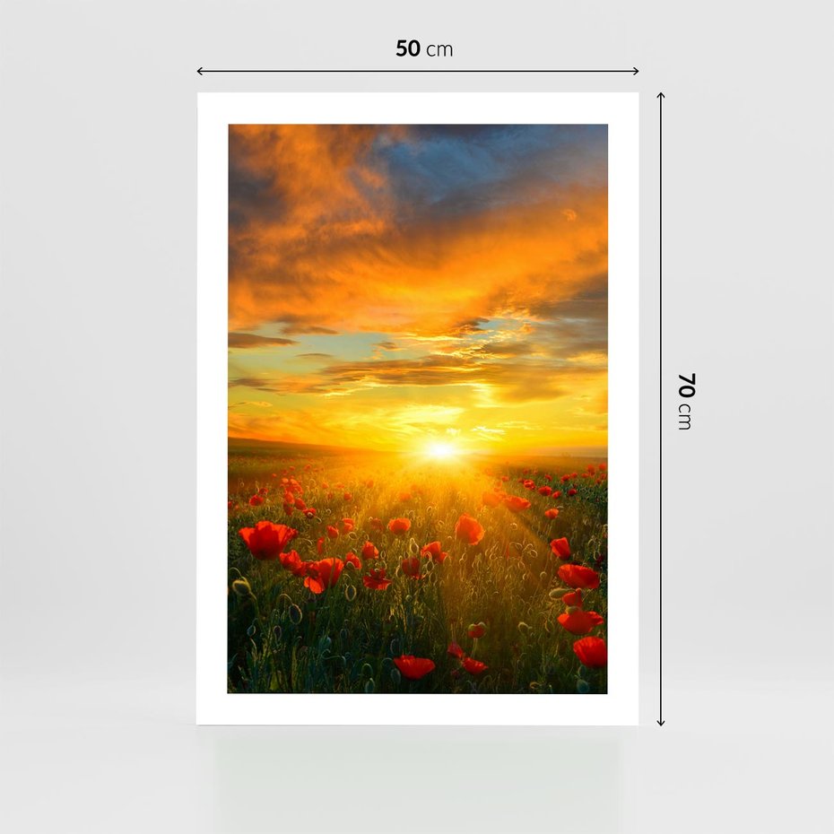 Plakat bez ramy 50x70 - Magia zachodu słońca na łące z makami - łąka, zachód słońca