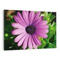 Obraz na płótnie 100x70 - Kwiatowy Dotyk - kwiat, kwiaty